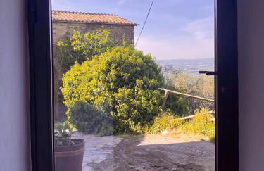 CORNER NEST IN MONTALCINO - Foto 13