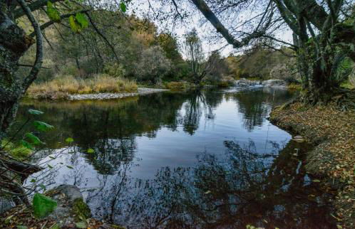 Casa Rural Aguas Frias - Foto 93