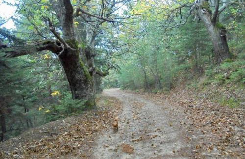 Periklis Guesthouse Anavriti. - Foto 44