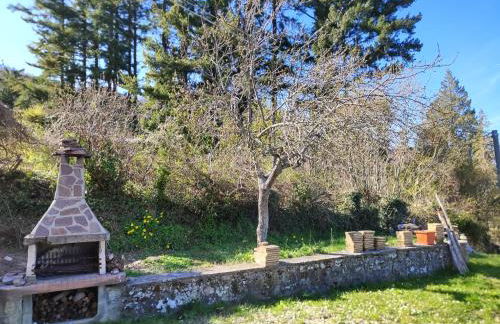 Casa Marina - Photo 3