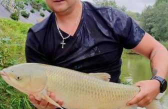 Siedlisko Sielska Dolina Nad Stawem luksusowy domek całoroczny z fińską sauną - Foto 23