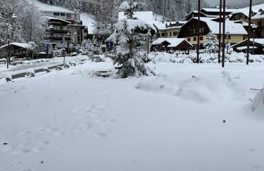 Des Alpes C Flat 11 - Foto 40