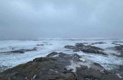 The Harbour Cottage - Foto 10