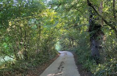 Strongate Orchard Farm stay Bridport Dorset- Jurassic Coast 10 min drive - Foto 12