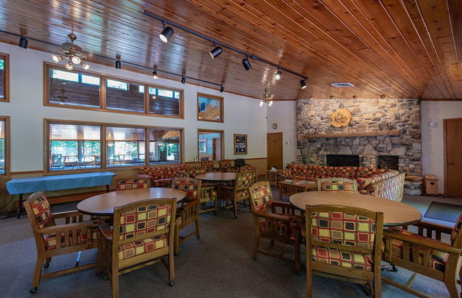 The Rushes - Foto 41