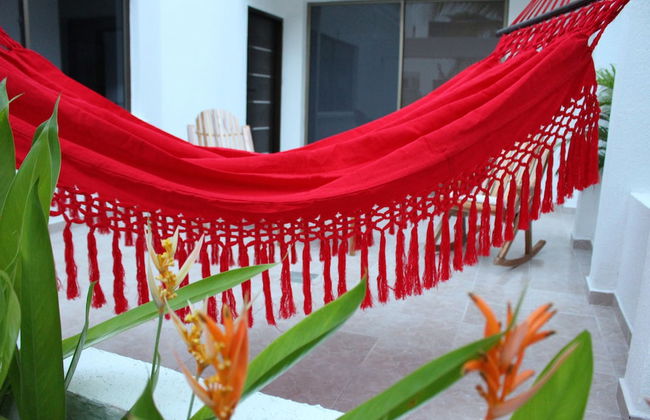 VAIA HOTELES - Foto 26