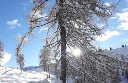 Lärchenheim - Foto 17