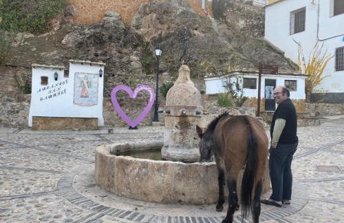 Casa El Higueral - Foto 29