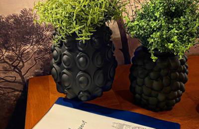 Grand appartement cozy et lumineux au centre d'Orleans - Foto 39