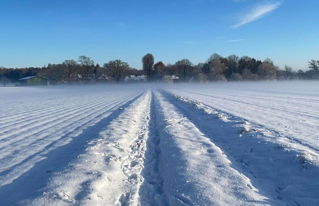 Landhaus Gutmussen 2 A - Foto 12