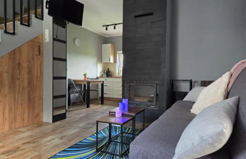 Domki w Bieszczadach Kuźmina - Foto 2