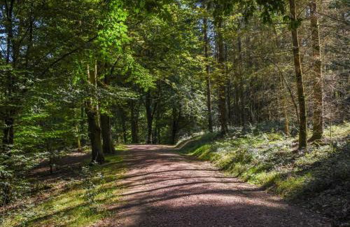 2 Bed in Cinderford oc-93455 - Photo 34