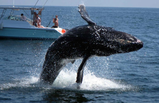 Excursión a las bahías de Huatulco - Foto 5