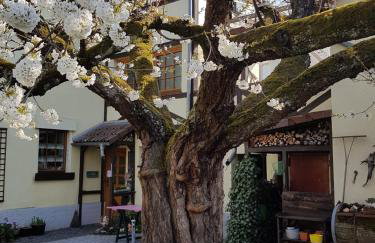 Ferienwohnung Zum-alten-Kirschbaum - Foto 1