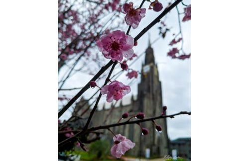 Apto 3 dormitório em Canela - @stayhousetemporada - Foto 39