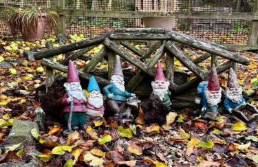 Little Velvet Hall Character Cottage - Foto 4