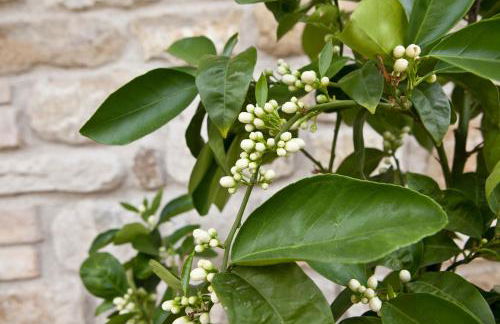 Relais Parco Del Subasio - Photo 50