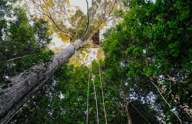 Escursione alla Riserva Natura Park - Foto 1