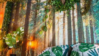 Jurassique Appart - Foto 4