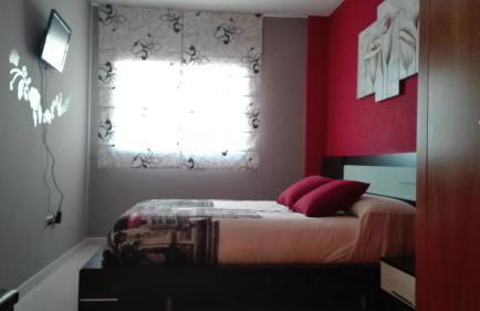 rosa sensat - Foto 10