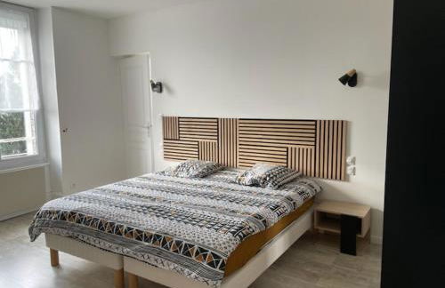 Appart meublé 45m2 calme et lumineux au Continental - Foto 6