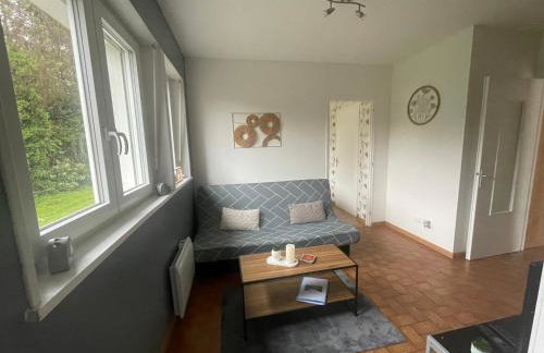 Magnifique Logement f2 Vosges La vôge-les-bains - Foto 7