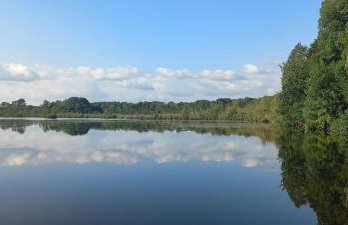 Studio Repos Nature et Beauregard - Foto 19