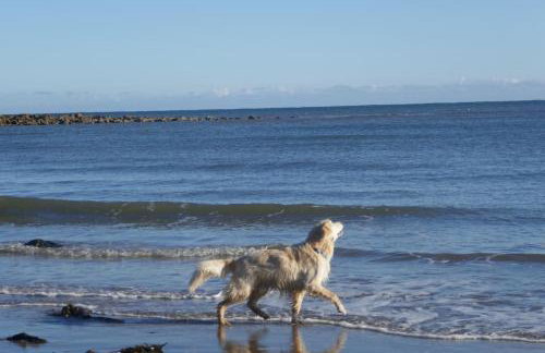 Blacksmith’s Barn - Cosy, Chilled & Dog Friendly. - Foto 4