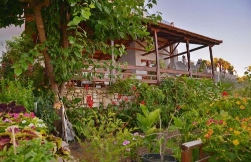 Pension Andromeda - Foto 34