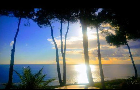 Naturoasi Resort - Photo 33