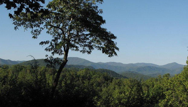 Cub's Cove by Jackson Mountain Rentals - Foto 2, Servicios del alojamiento