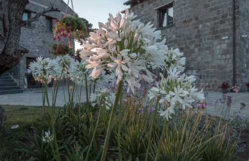 i Cacciagalli Wine Resort - Foto 32