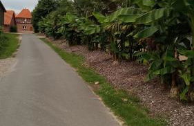 Schwalbennest - Foto 9