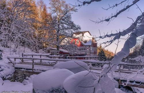 FeWo in Ilsenburg Waldblick, schöne Aussicht - Foto 40