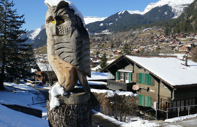 Chalet Anna - Foto 24