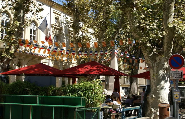 Beautiful Villa With Pool Near St.remy-de-provence - Foto 54