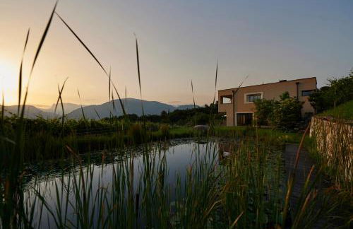 Weingut Stuck - Foto 19