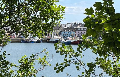 5a Plantation Road - Foto 37