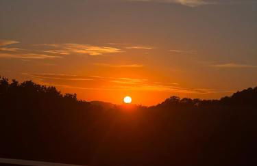 Waldzauber 2 Budget-Apartment - Foto 21