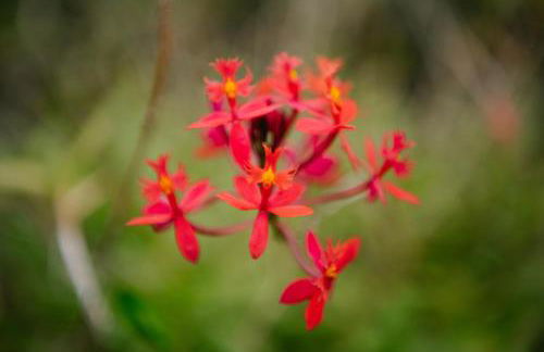 Casa do Remo - Foto 18