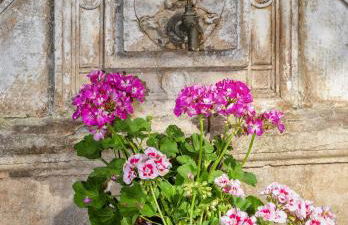 Casa Diocesana di Lucca - Foto 17