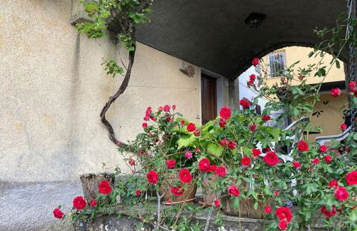 Casa nel borgo - A Rigadèa - Photo 15