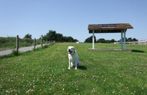 Crows Nest - Photo 20