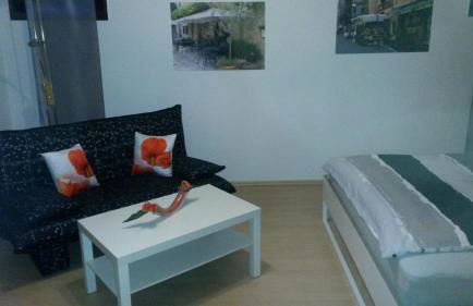 Ferienwohnung keine Monteurvermietung Nähe Heidelberg Hockenheim BDS Anlage - Foto 21