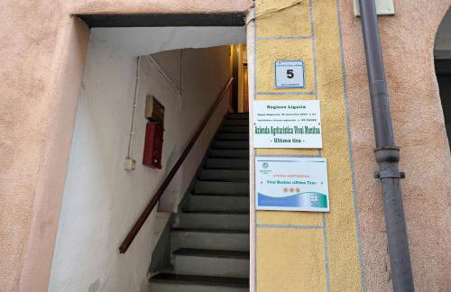 Ultimo Tiro-appartamento Terzo Tiro - Foto 16