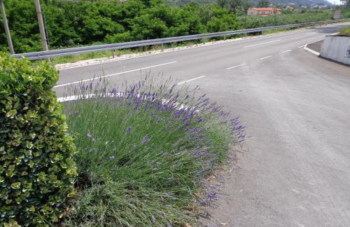 Apartments Nada - Foto 11