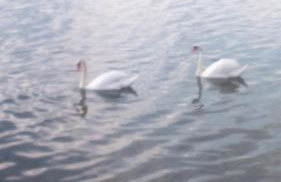 Studio apartment Meli - Foto 57