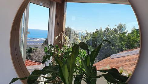 White House - Foto 1