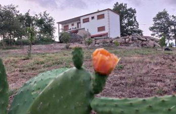 Quinta do Cadaval - Foto 14