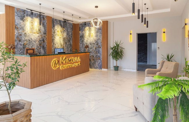 Mimoza Business Apart - Foto 3